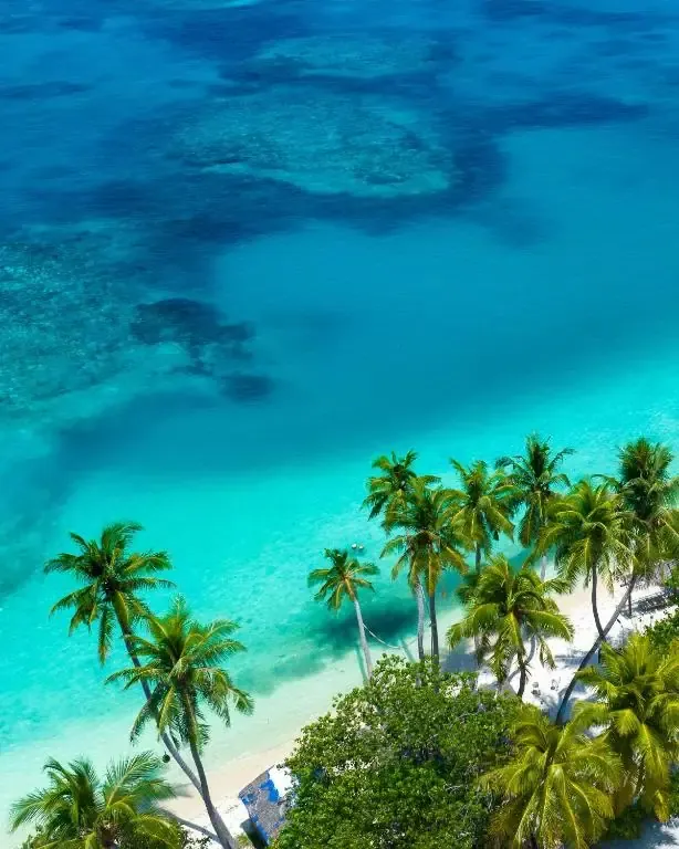 Maldives sur une île locale habitée