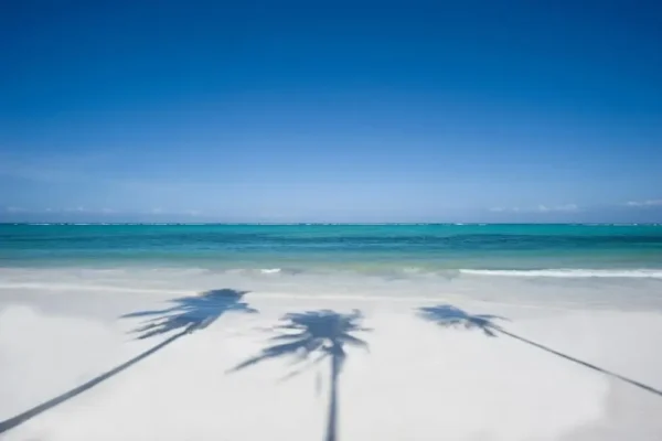 Zanzibar en villa avec piscine privée - Image 3