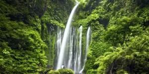 Lombok : Cascades Sendang Gile et Tiu Kelep