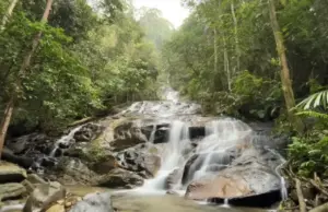 Kuala : Templer Park & Kanching Waterfalls