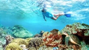 Snorkeling & plongée