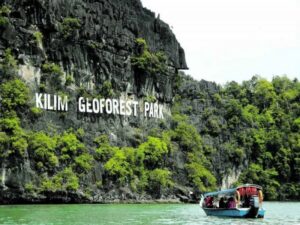 Langkawi : Mangrove Tour