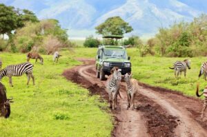 Parc national du lac Manyara